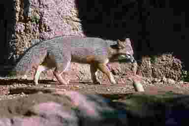 epicerie fine paris,